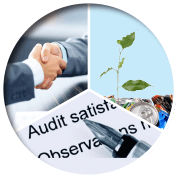 consulting and auditing