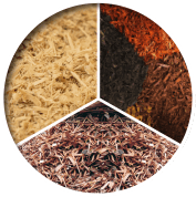 consulting and auditing